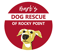 Barb's Dog Rescue of Rocky Point logo. Red background with dog.